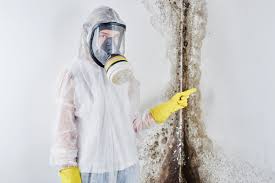 Why You Should Choose Our Mold Remediation Services in Mahanoy City, PA